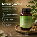ASHWAGANDHA 300 MG 60 CAPS extracto seco 5% - 2
