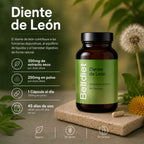 DIENTE DE LEON 45 CAPS VEGETALES Alta concentración - 2